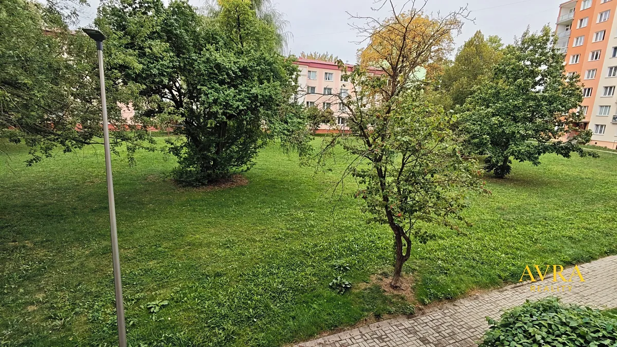 Pronájem bytu 2+1 62 m²